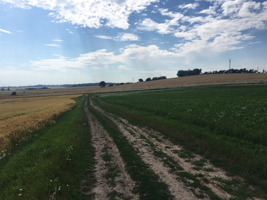 Libina, pohled na budouci těleso dálnice.