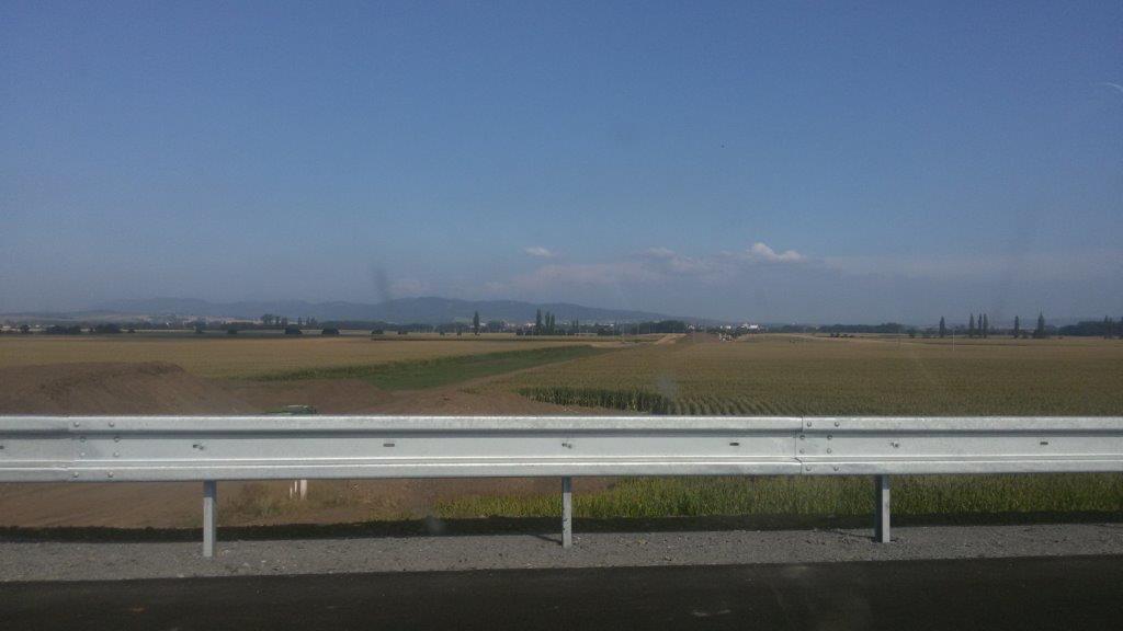 20170817_165052.jpg
