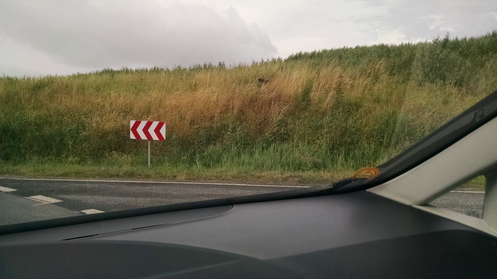 Místo budoucího kruhového objezdu - od Úštěku.