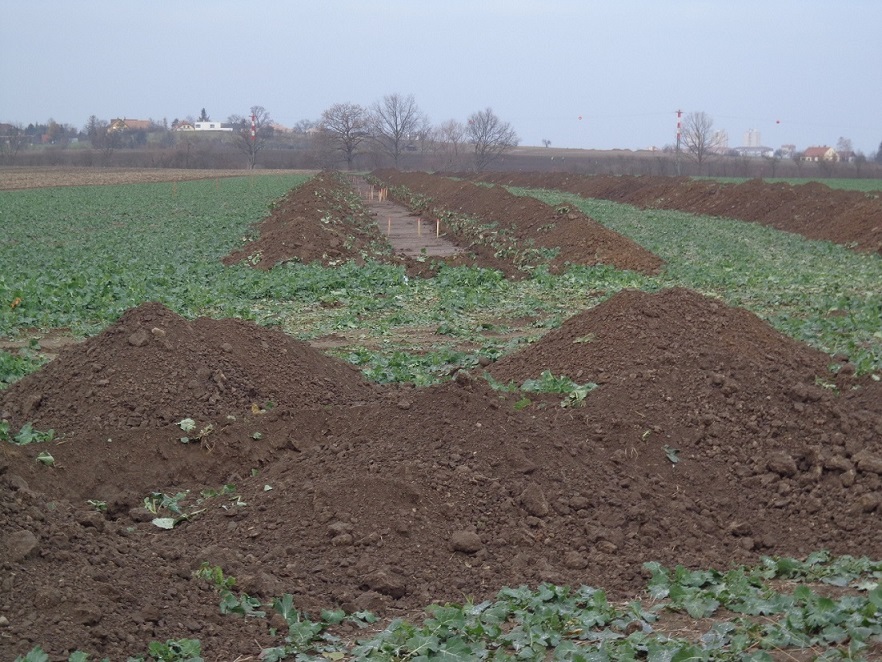 chrudim1.jpg