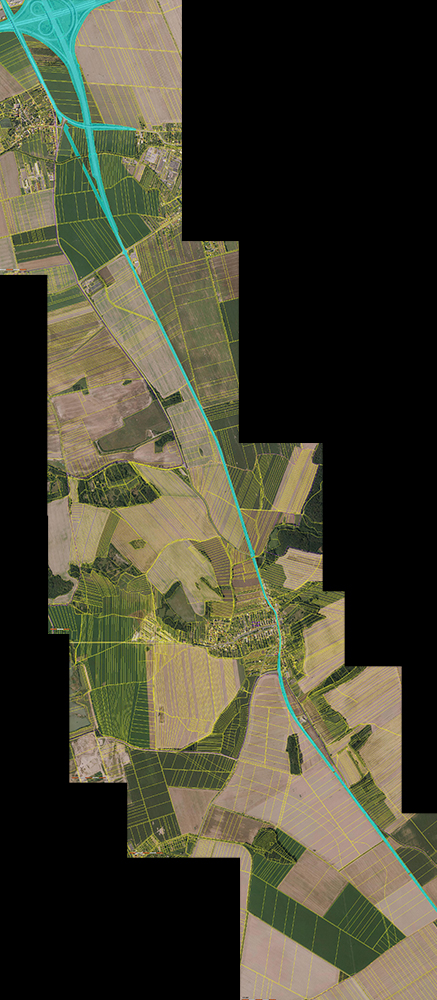 D55 Olomouc - Kokory 2019-01-01 1000px.jpg