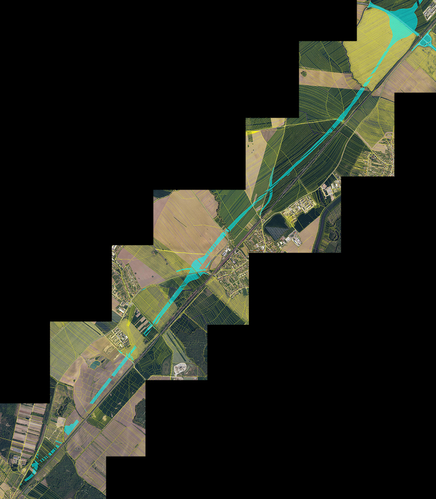 D55 5508 2019-01-01 1000px.jpg