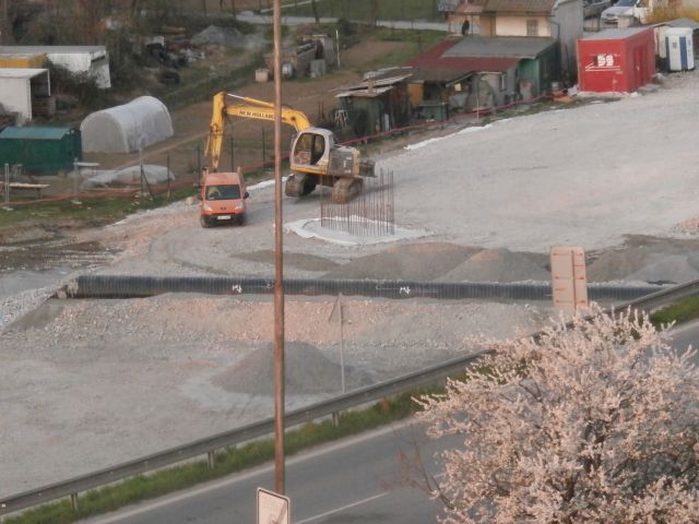 003.JPG