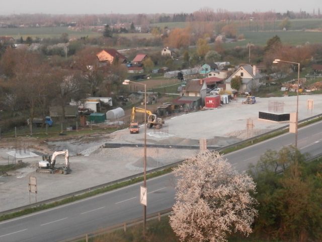 002.JPG
