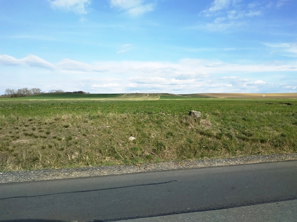 IMG_20190406_162604.jpg