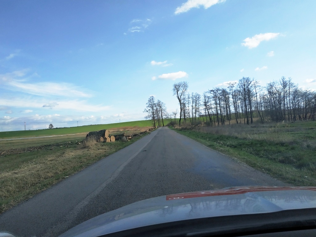 IMG_20190406_162937.jpg