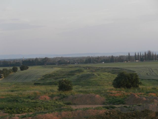 003.JPG