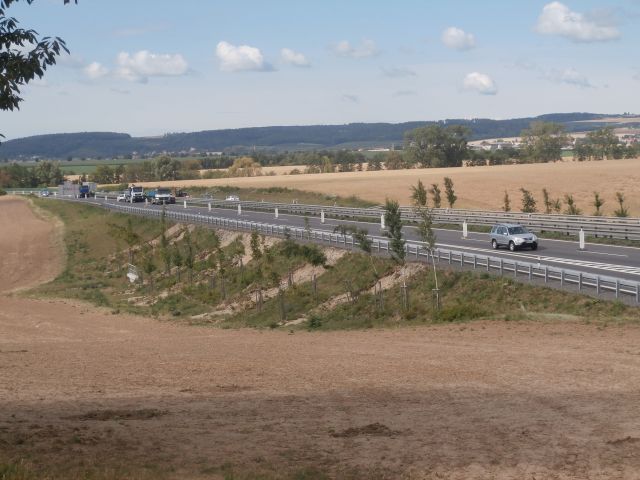 P7110033.JPG