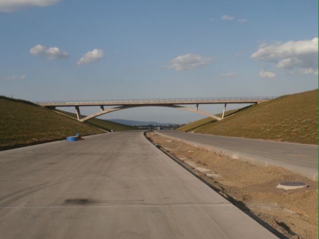 P8010007.JPG