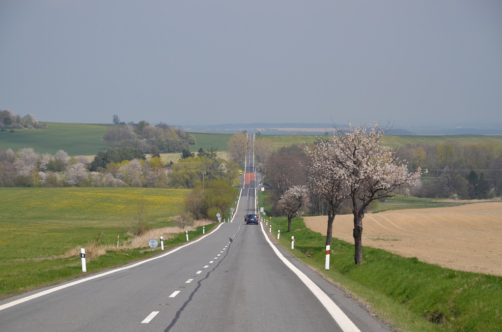 DSC_0499.jpg