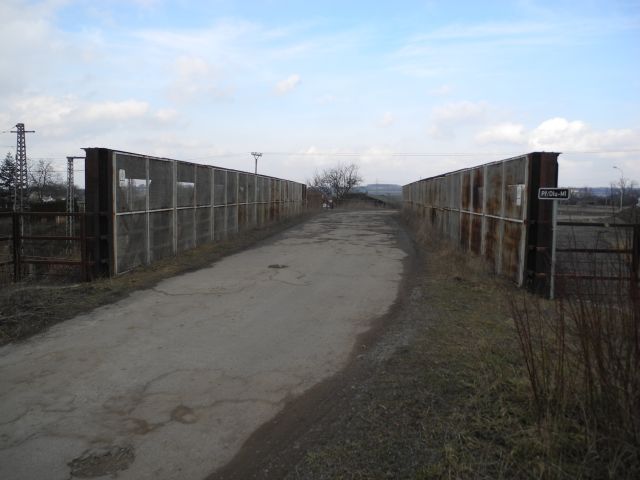 003.JPG
