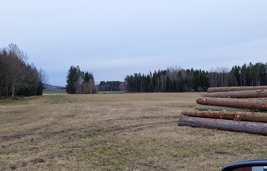 2020-03-05 18_16_24-Fotka - Fotky Google.jpg