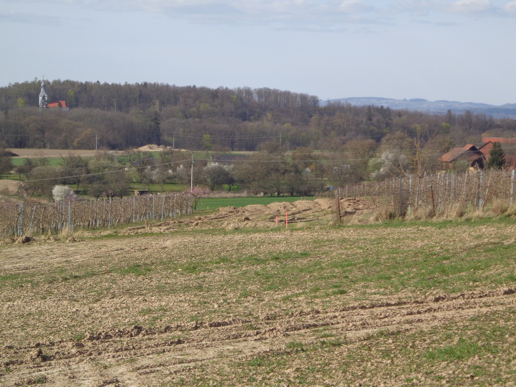 DSC01938.JPG