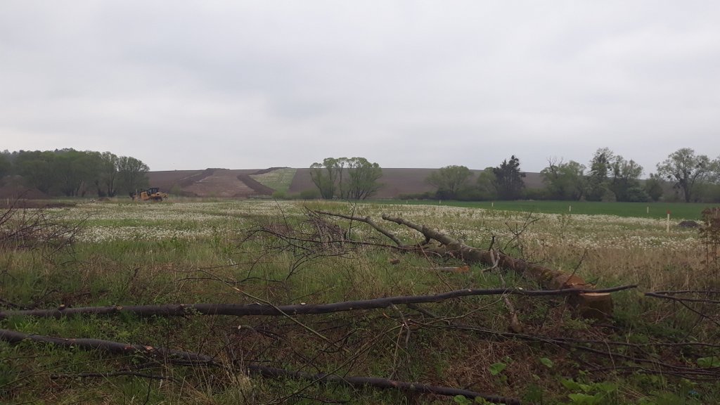 1-20200506_143916.jpg