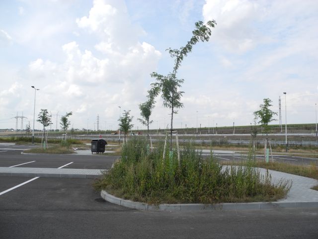DSCN2840.JPG