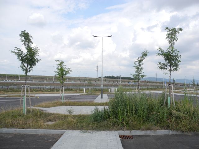 DSCN2842.JPG