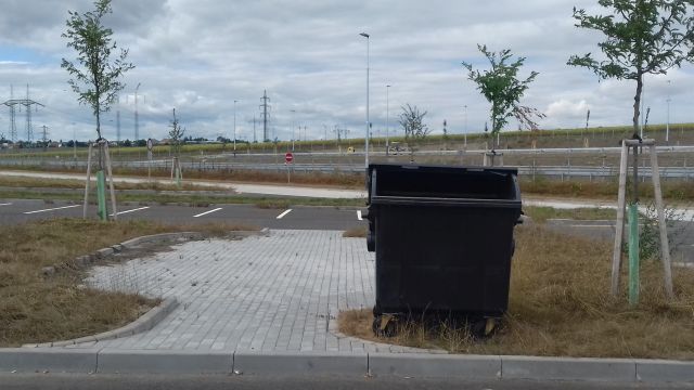 006.jpg
