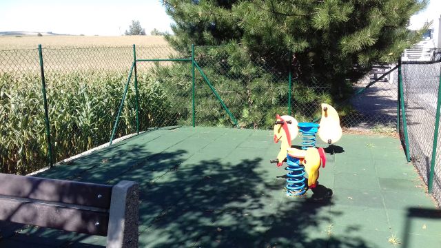 20200909_130145.jpg