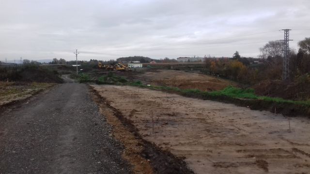 20201103_155011.jpg