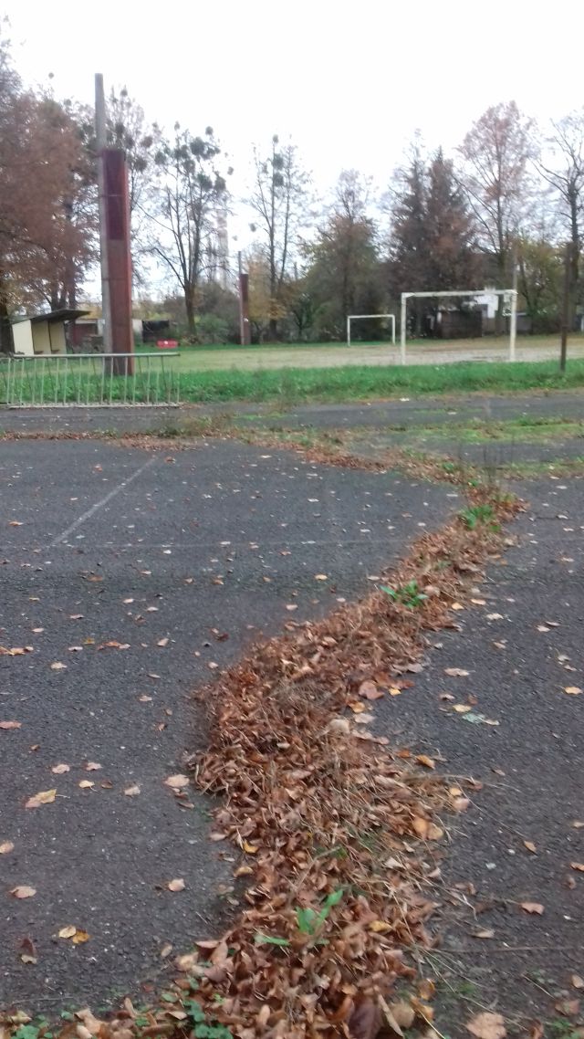 03.jpg