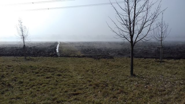 02.jpg