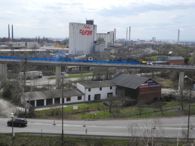 100.JPG