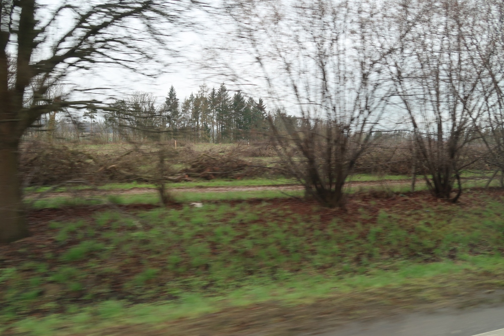 Sobota 17.4.2021, kácení sadu u Svinišťan