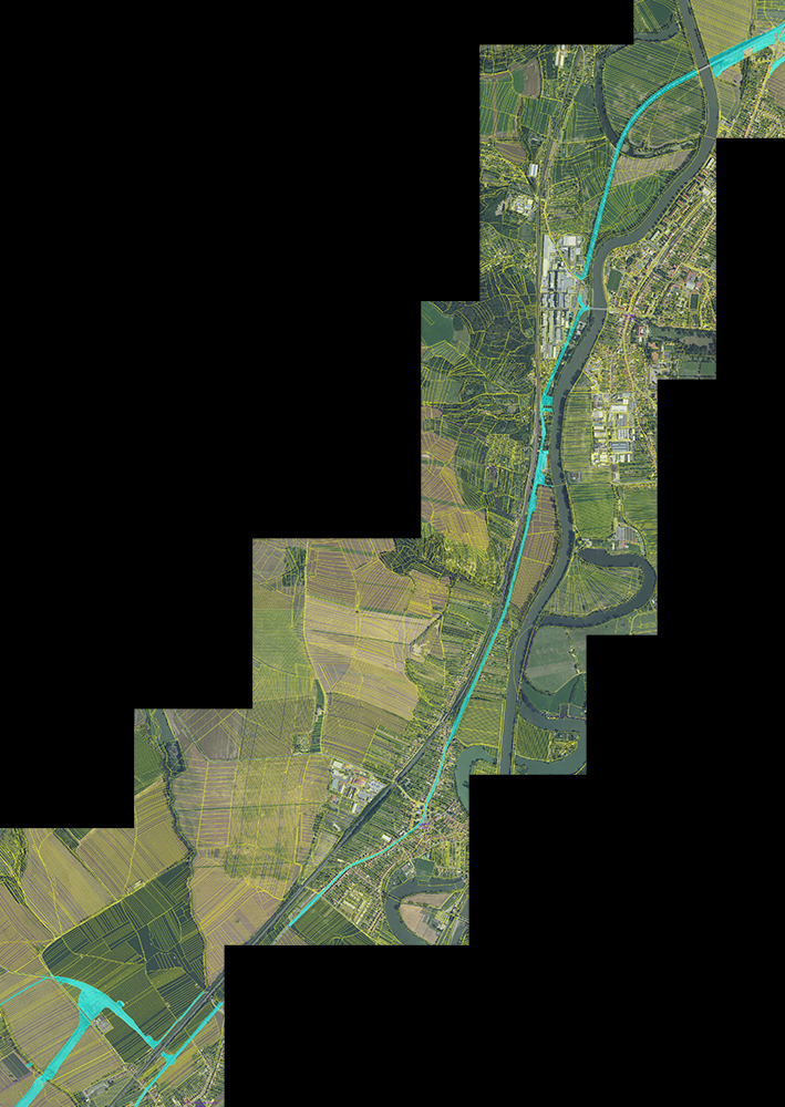 D55 5506 2022-01-09.jpg