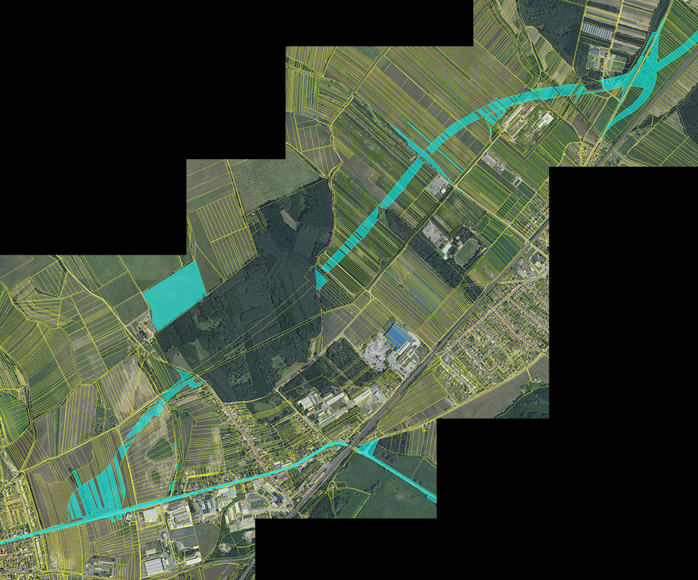 D55 5509 2022-01-09.jpg