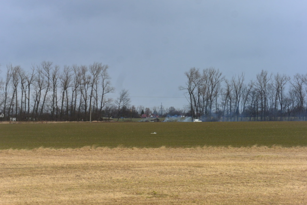 DSC_8309.JPG