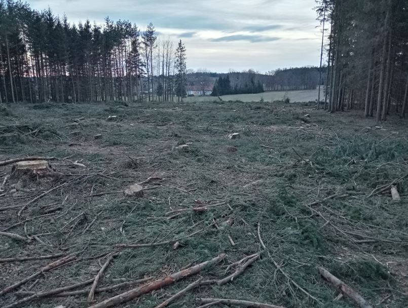 Pohled směrem k ČB (Na Klaudě)