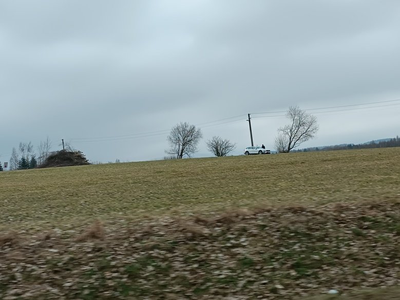 IMG_20230321_123732.jpg