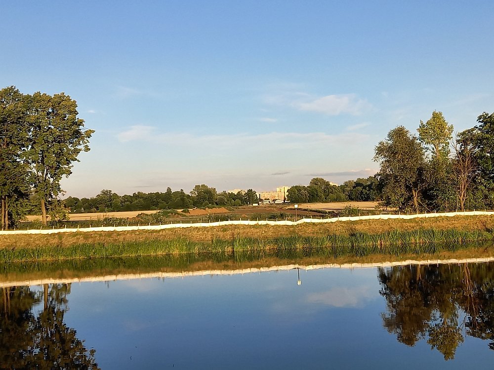20230809_194410.jpg