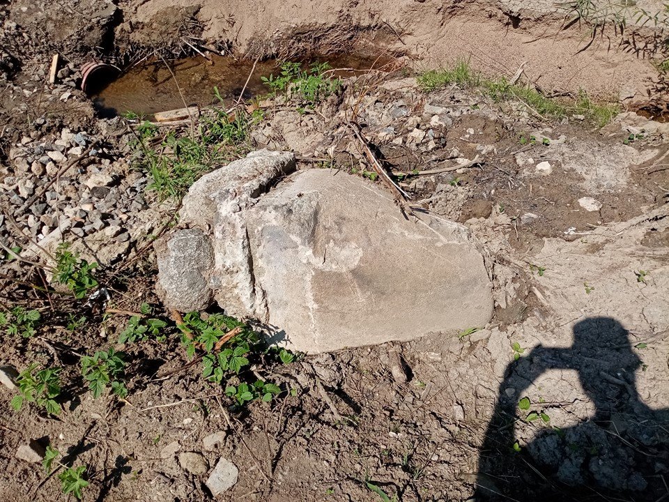 IMG_20230816_124821 [HDTV (720)].jpg