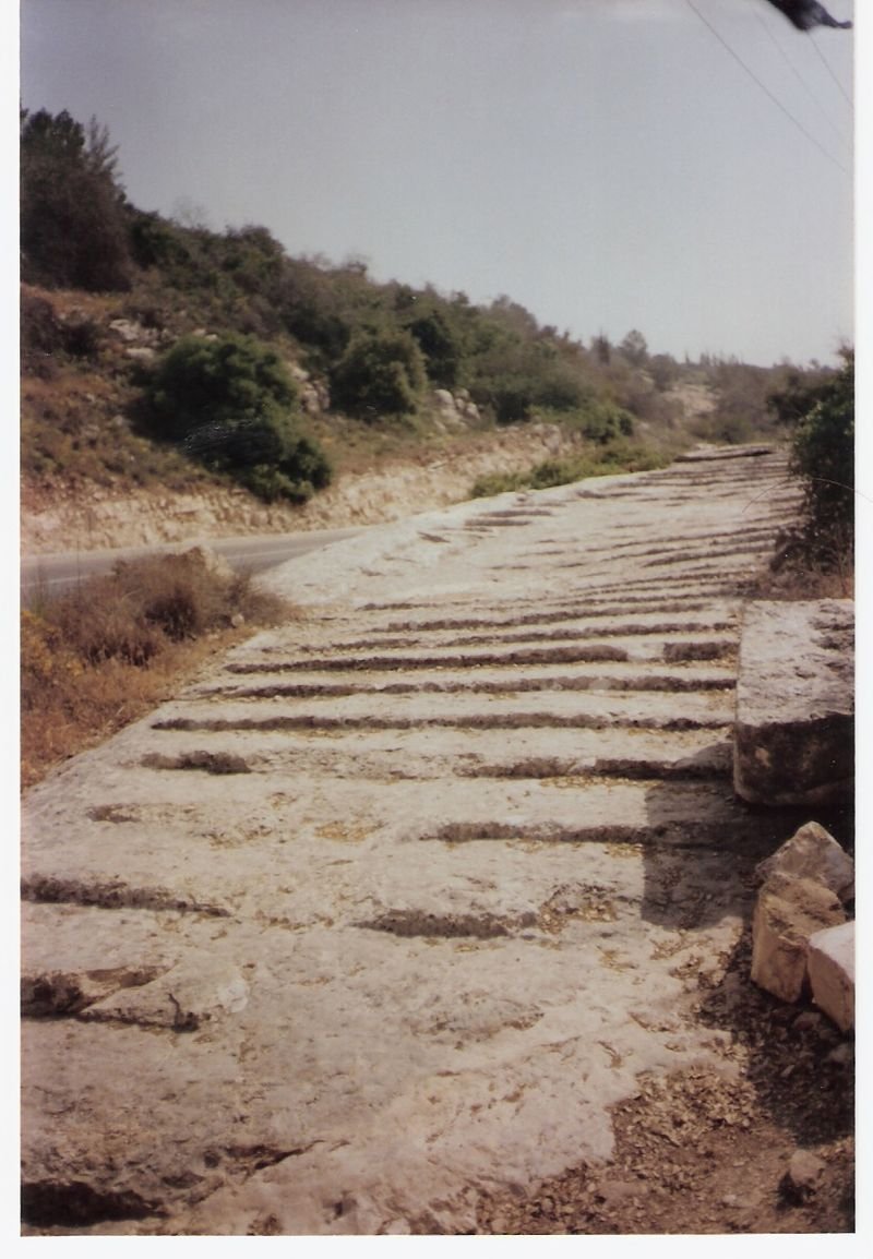 800px-אבישי_טייכר_084.jpg
