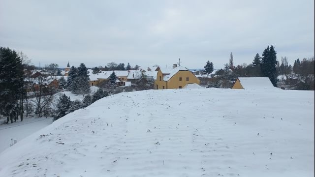 20231203_122643.jpg