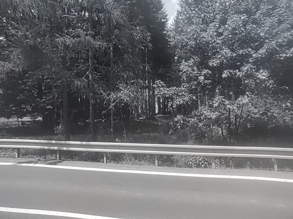 2024-06-29 13.02.49.jpg