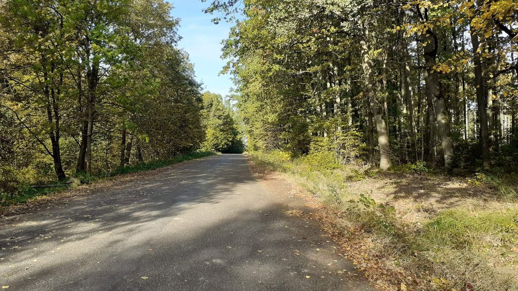 Babák,U stavského kostelíčka1 směr Jičín.jpg