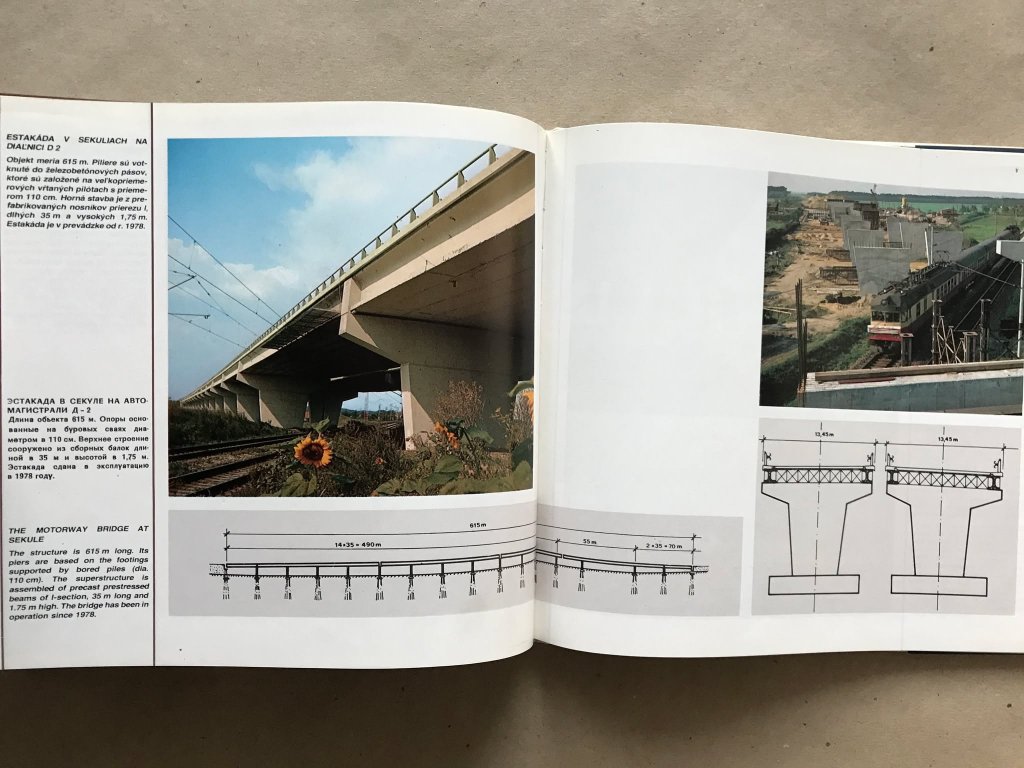 564.jpg