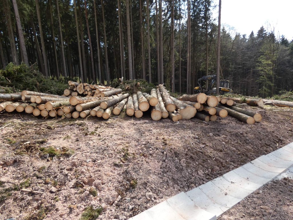 P1070931 (1).jpg