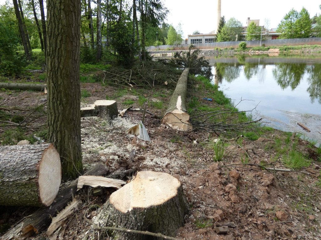 P1090109 (1).jpg