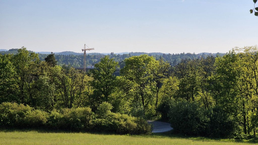 20250513 ze severu - jeřáb s ramenem.jpg