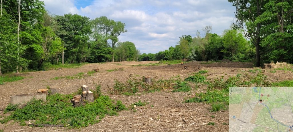Pohled od Chrudimky, směr Černá za Bory