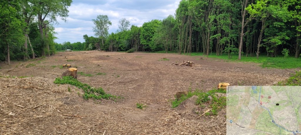 Směr Černá za Bory