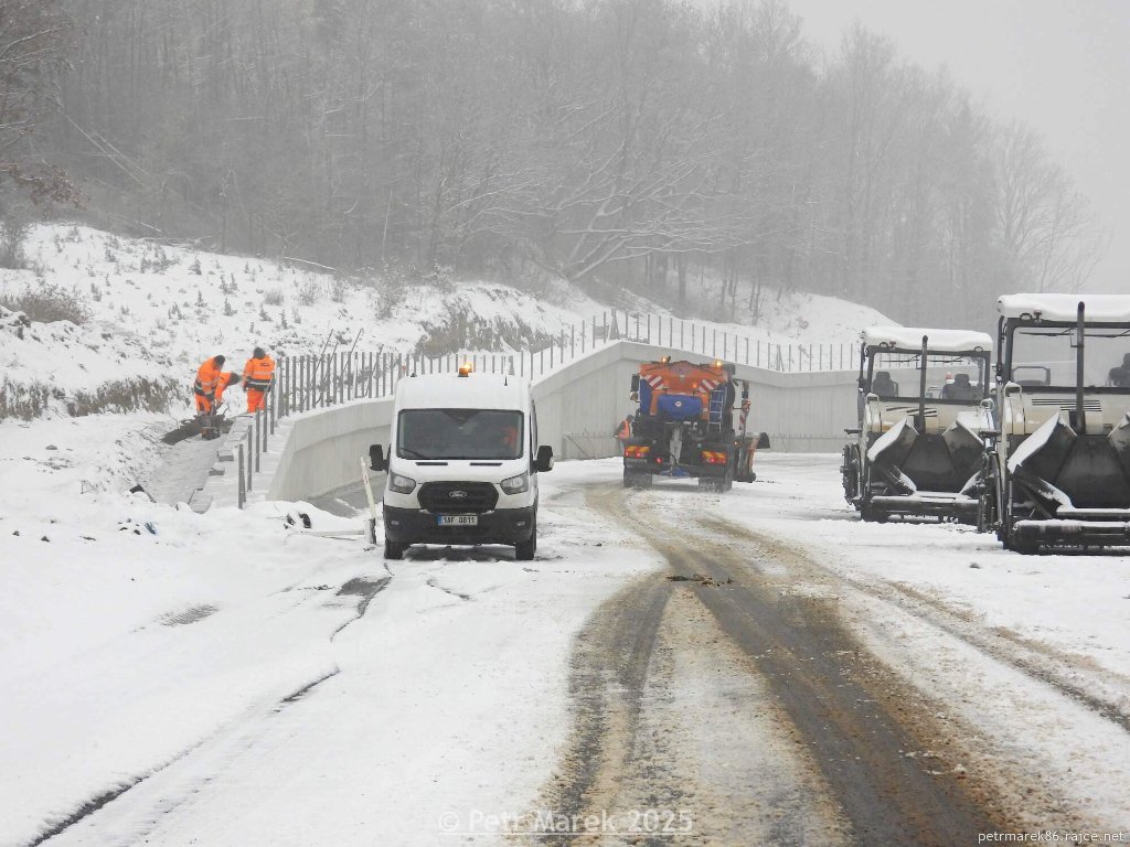 žíželice 24.11.2025.jpg