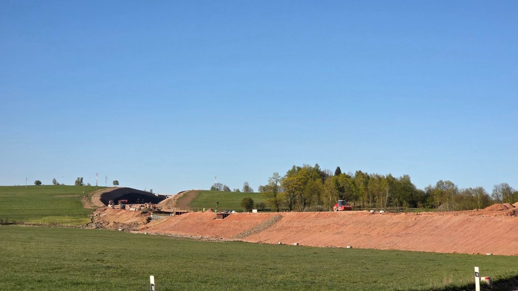D11-20260502-02.jpg