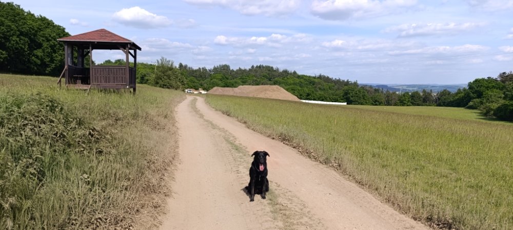 Tunel Luka 22.5.2026