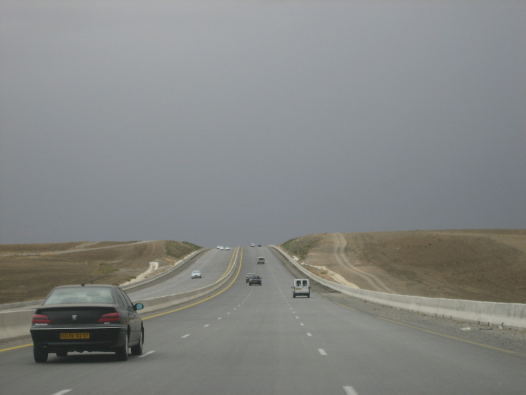 img7984o.jpg
