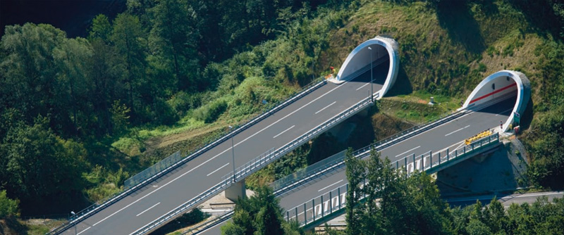 tunel Fruk