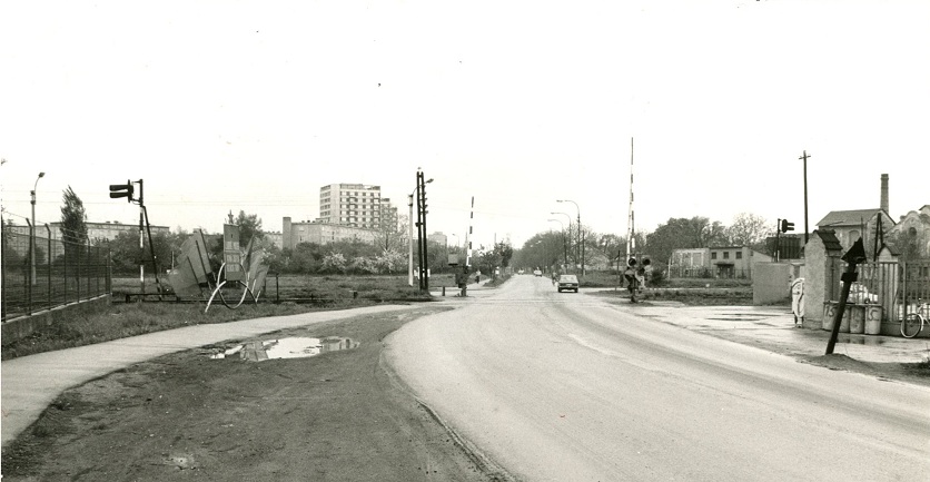 D101-5-3_020.jpg